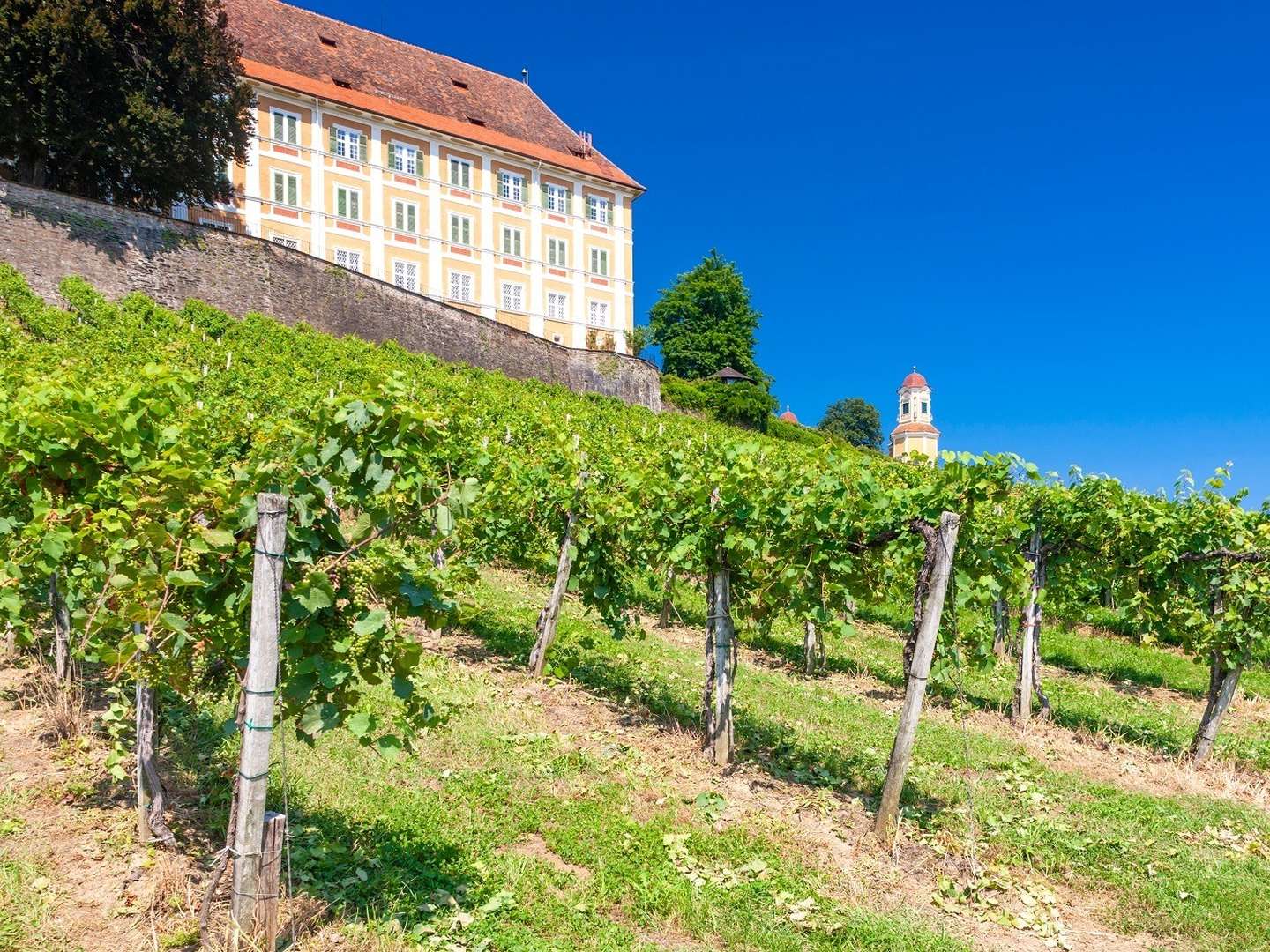  Kulinarische Auszeit in steirischen Weinbergen | 1 Nacht