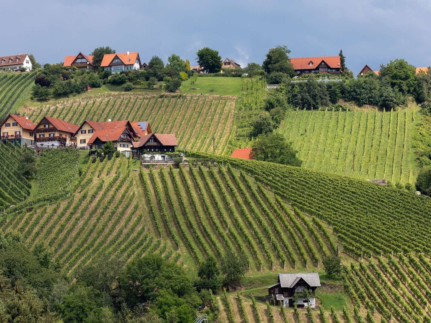  Kulinarische Auszeit in steirischen Weinbergen | 1 Nacht