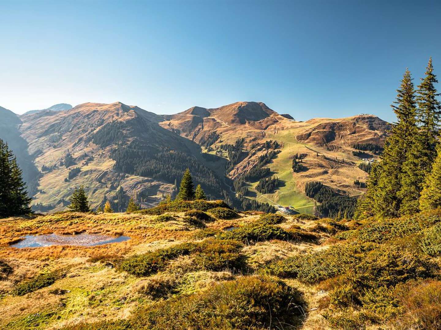 Probier’s mit Wintergemütlichkeit - Skivergnügen in Saalbach Hinterglemm int. in A 421390