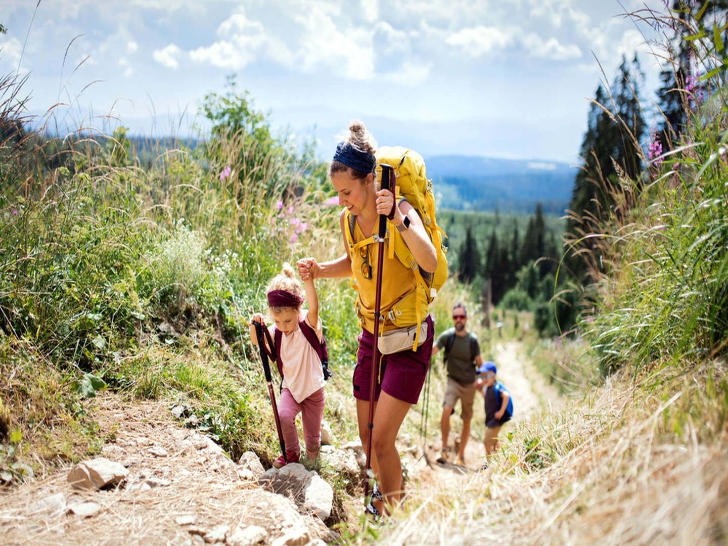 Wanderurlaub im Lipizzanerland  inkl. Halbpension | 7 Nächte