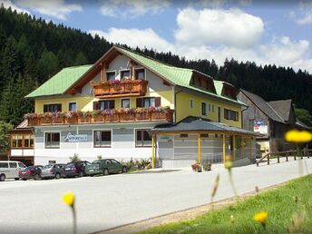 Auszeit auf der Alm in der Steiermark inkl. Abendessen | 1 Nacht