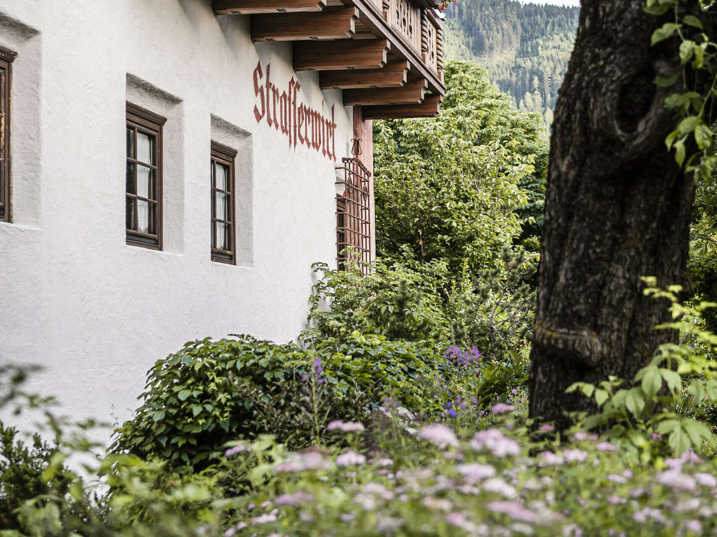 Urlaub in den Bergen inkl. Halbpension in Osttirol | 7 Nächte