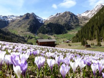  4=3 Frühlingsbeginn in Osttirol