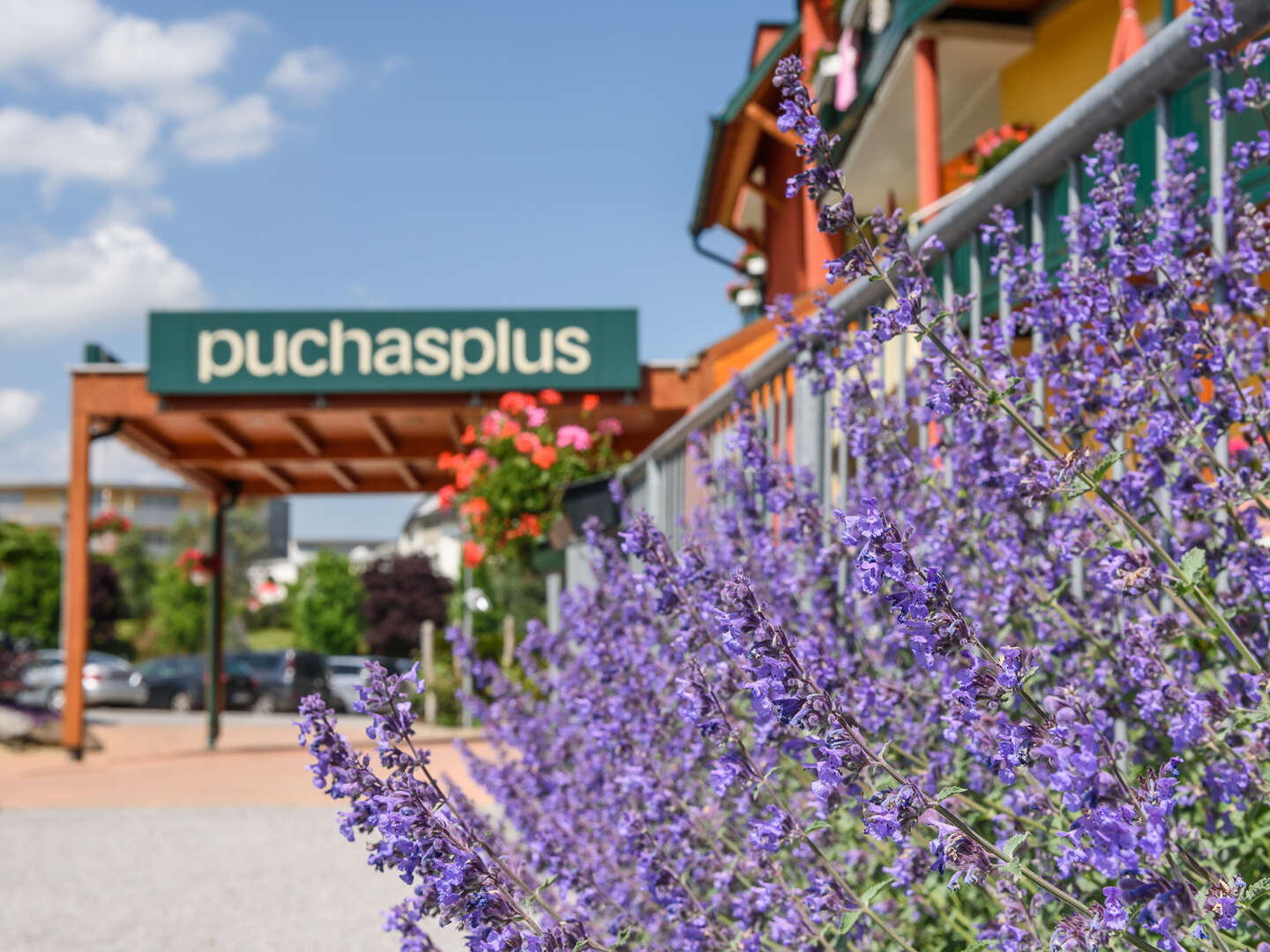 Herbstliche Aromen und Wellness in Stegersbach | 2 Nächte