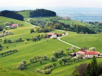 Genuss pur - Zauberhafte Schlosszeit mit Wellness & Dinner | 1 Nacht