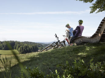 Länger Frisch Tage in Bad Zell inkl. Ganzkörperkältekammer