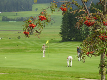 Ländliche Harmonie & gelebte Tradition im Landhotel in der Oststeiermark | 4 Tage Lastminute