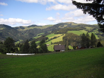 Ländliche Harmonie & gelebte Tradition im Landhotel in der Oststeiermark | 4 Tage Lastminute