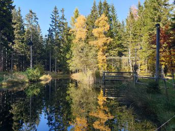 Ländliche Harmonie & gelebte Tradition im Landhotel in der Oststeiermark | 4 Tage Lastminute