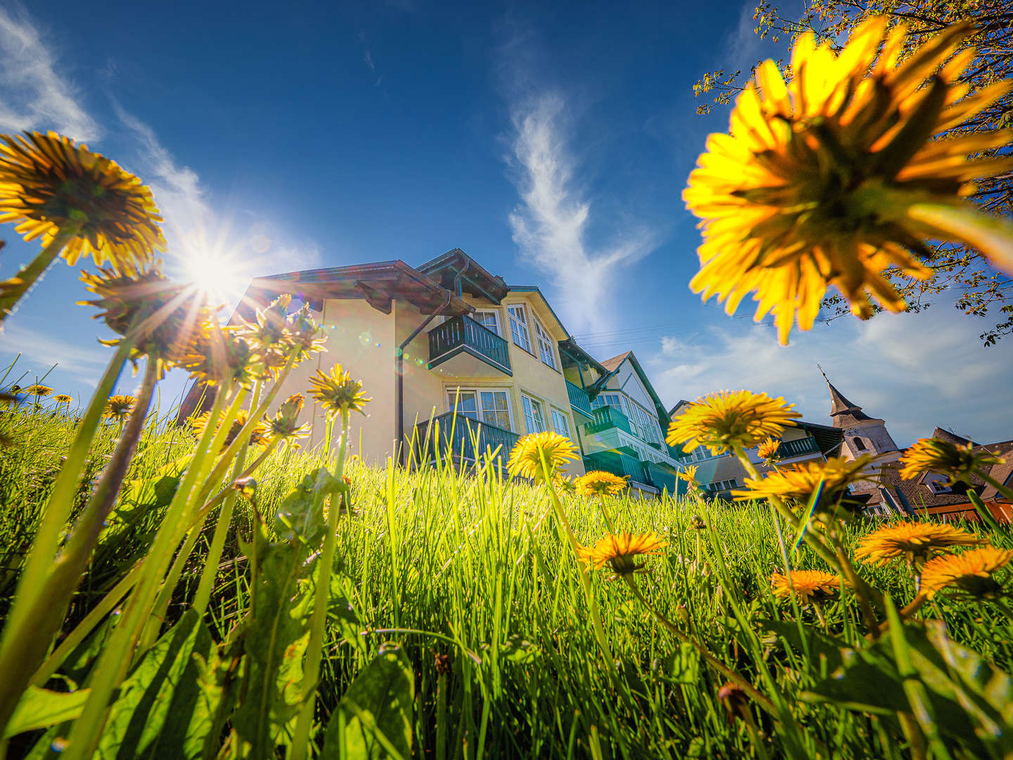 Ländliche Harmonie & gelebte Tradition im Landhotel in der Oststeiermark | 4 Tage Lastminute