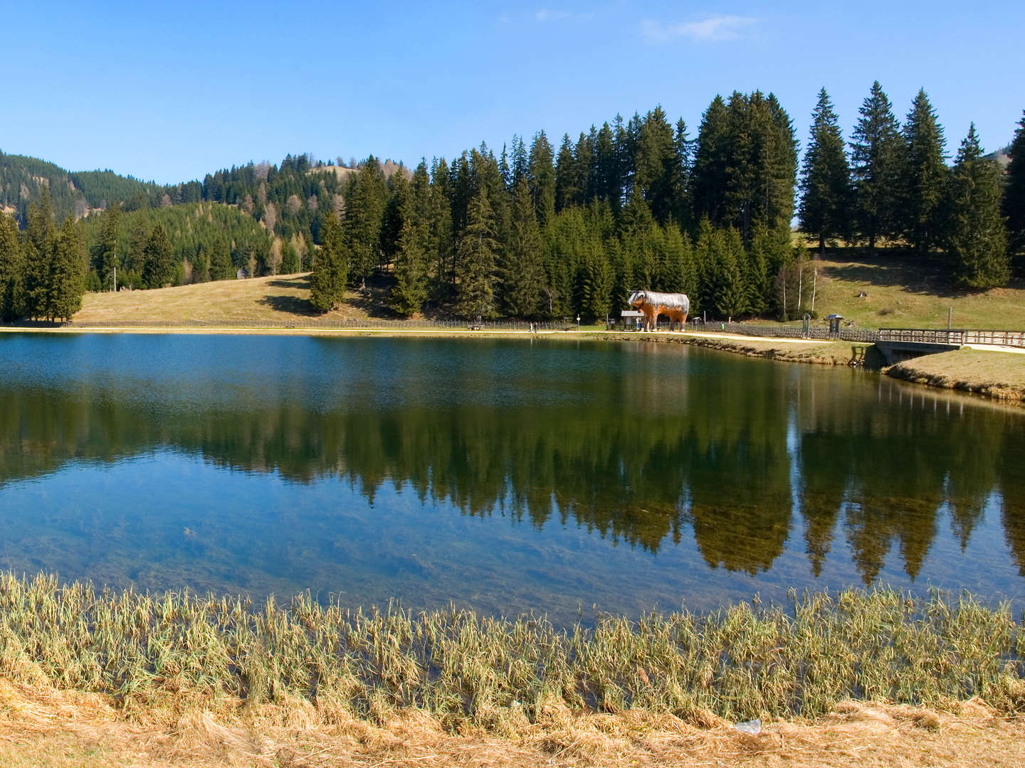 Ländliche Harmonie & gelebte Tradition im Landhotel in der Oststeiermark | 4 Tage Lastminute