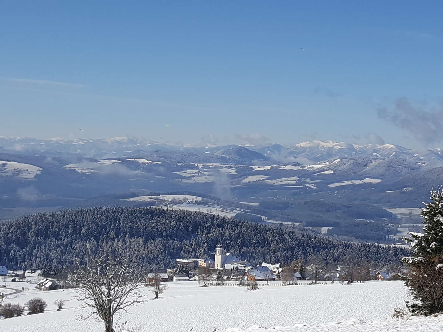 Aktivauszeit im steirischen Almenland inkl. Frühstück, Jause & Genusscard | 4 Nächte