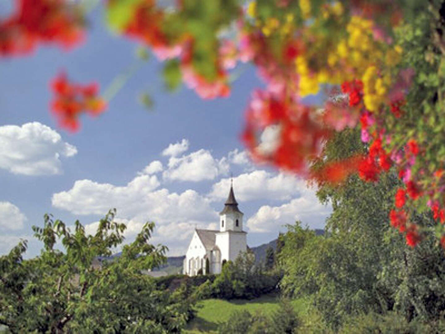 Aktivauszeit im steirischen Almenland inkl. Frühstück, Jause & Genusscard | 3 Nächte