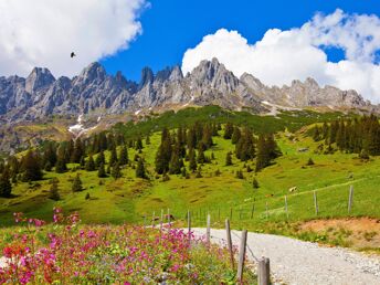 Aktivurlaub in den Bergen - Sommergenuss im Salzburger Land | 2 Nächte