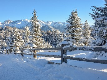 Winterlicher Genuss - Salzburg von der schönsten Seite erleben | 3 Nächte  