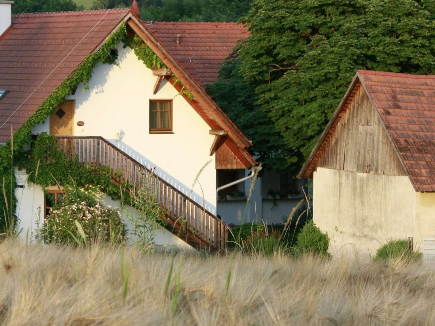  Auszeit im Südburgenland inkl. Burgenland Card | 4 Nächte 