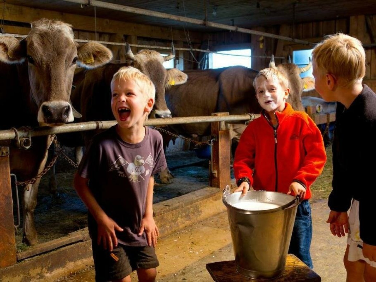 7=6 Kleinkinderwochen im Bregenzerwald inkl. Kinderbetreuung Sommer