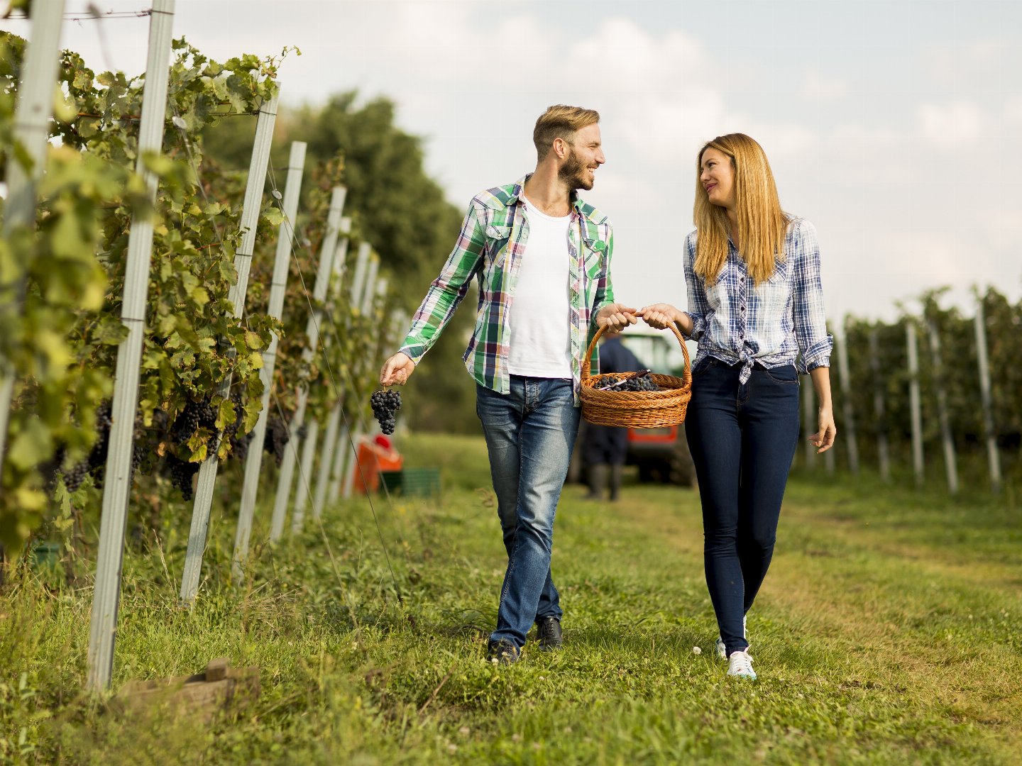 Erholung in der südsteirischen Weinregion inkl. Frühstück | 1 Nacht