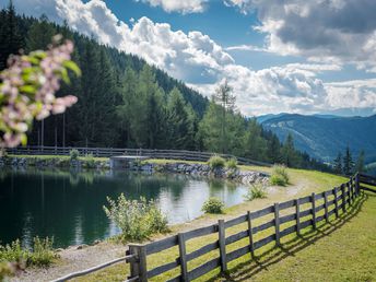 Tradition & Natur Pur in den Schladminger Bergen | 7 Tage  inkl. Halbpension