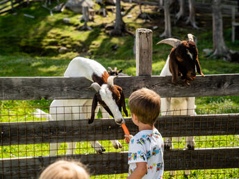 Tradition & Natur Pur in den Schladminger Bergen | 7 Tage  inkl. Halbpension