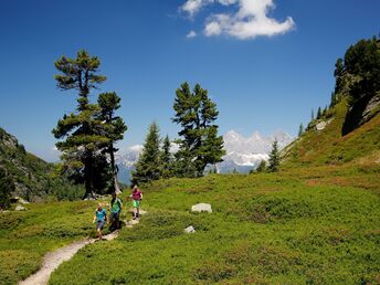 Sommerurlaub in Schladming | 3 Tage inkl. Sommercard: tägl. Fahrt mit einer Bergbahn, u.v.m.