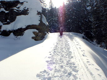 Raus in die Natur - Entspannen auf der Koralm | 3 Nächte