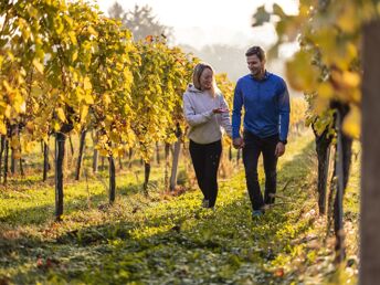 Urlaub in der Heimat des Uhudlers | 7 Nächte inkl. Vorteilswelt Burgenland Card