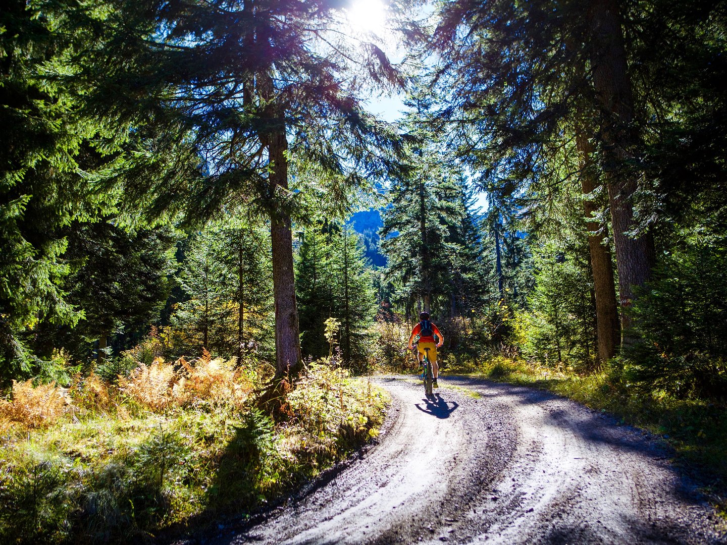 Radurlaub im Montafon | 5 Nächte