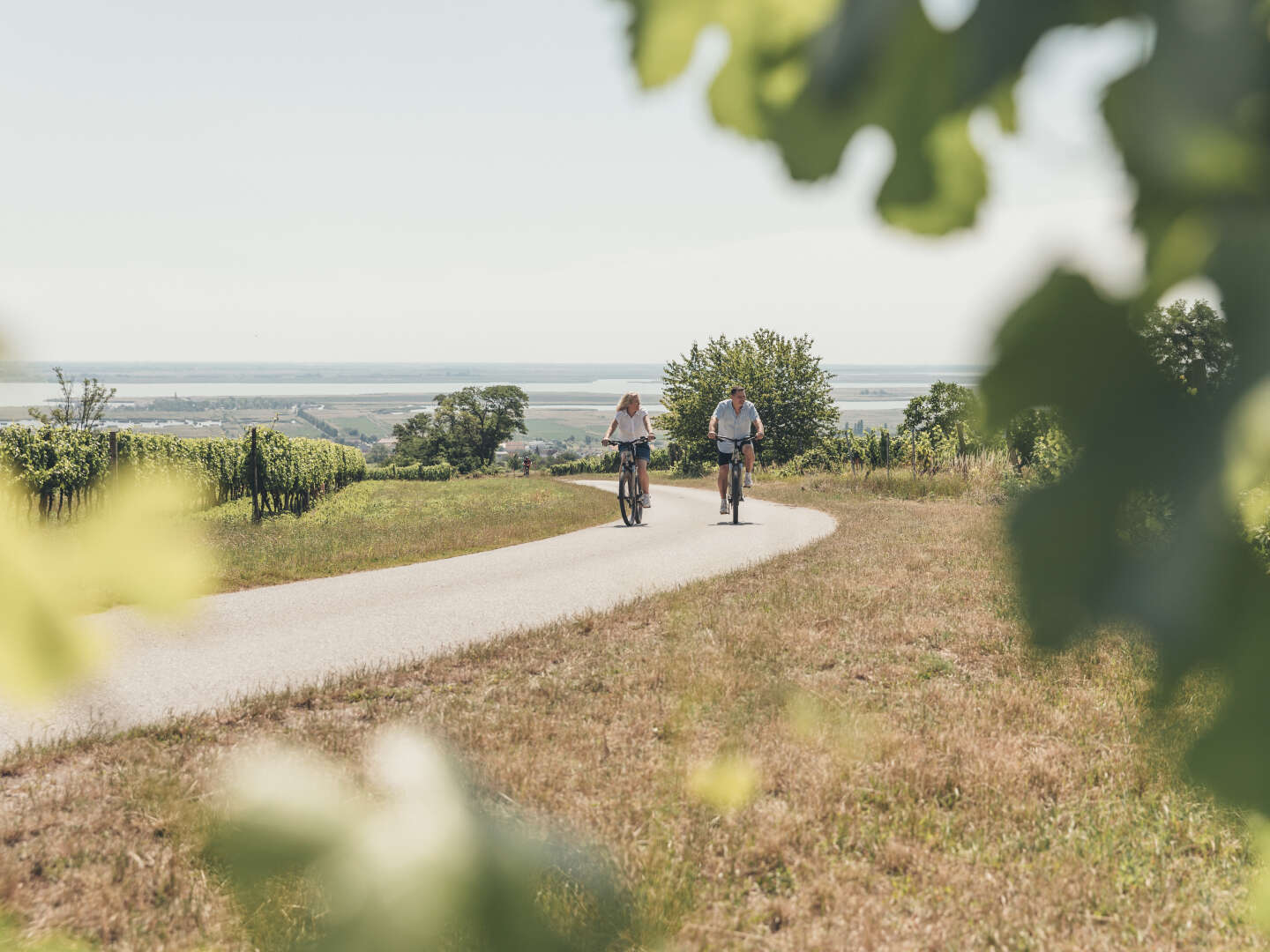 Aktivurlaub mit dem Rad - Neusiedler See Erlebnis inkl. E-Bike | 2 Nächte