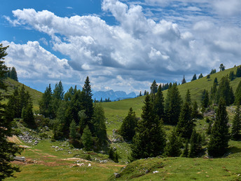 Natur, Wellness & Kärnten Card im Naturpark Dobratsch | 4 Nächte