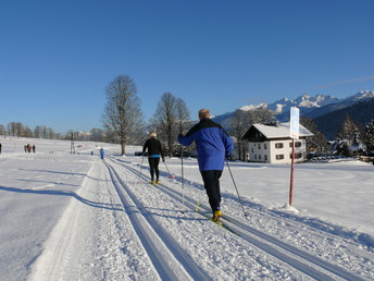 Langlauf in Ramsau am Dachstein 8 Tage