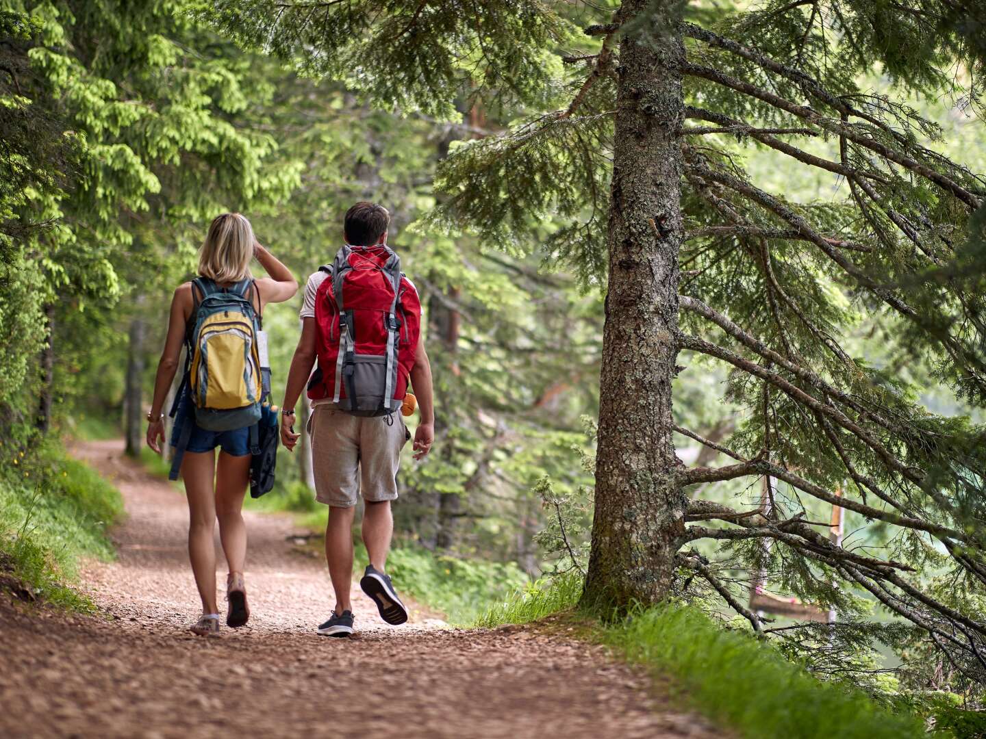 Kurzurlaub inmitten der Nockberge - Wellness & Kärnten Card | 7 Nächte