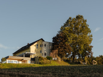 Frühlingserwachen: Südsteirermark-Urlaub inkl. Dinner u. Weingartenpicknick| 4 Tage 2