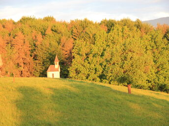 Frühlingserwachen: Südsteirermark-Urlaub inkl. Dinner u. Weingartenpicknick| 4 Tage 2