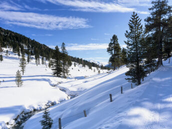 Der besondere Wintergenuss: Kurzurlaub in Kärnten | 3 Nächte