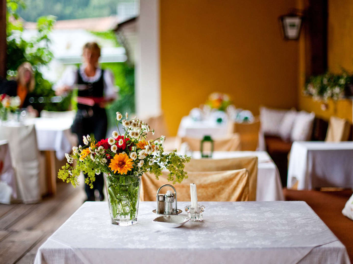 Winterspaß Pur in der Region Murau-Kreischberg inkl. Abendessen | 3 Nächte