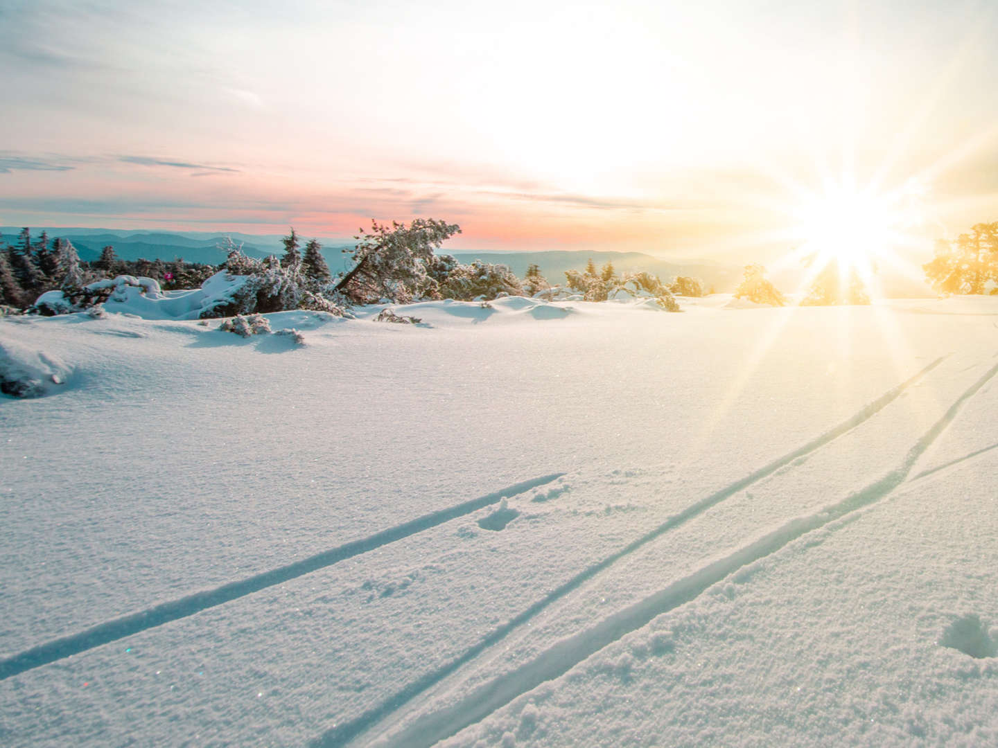 Es riecht nach Zimt und Lebkuchen - Adventszeit in Murau | 3 Nächte