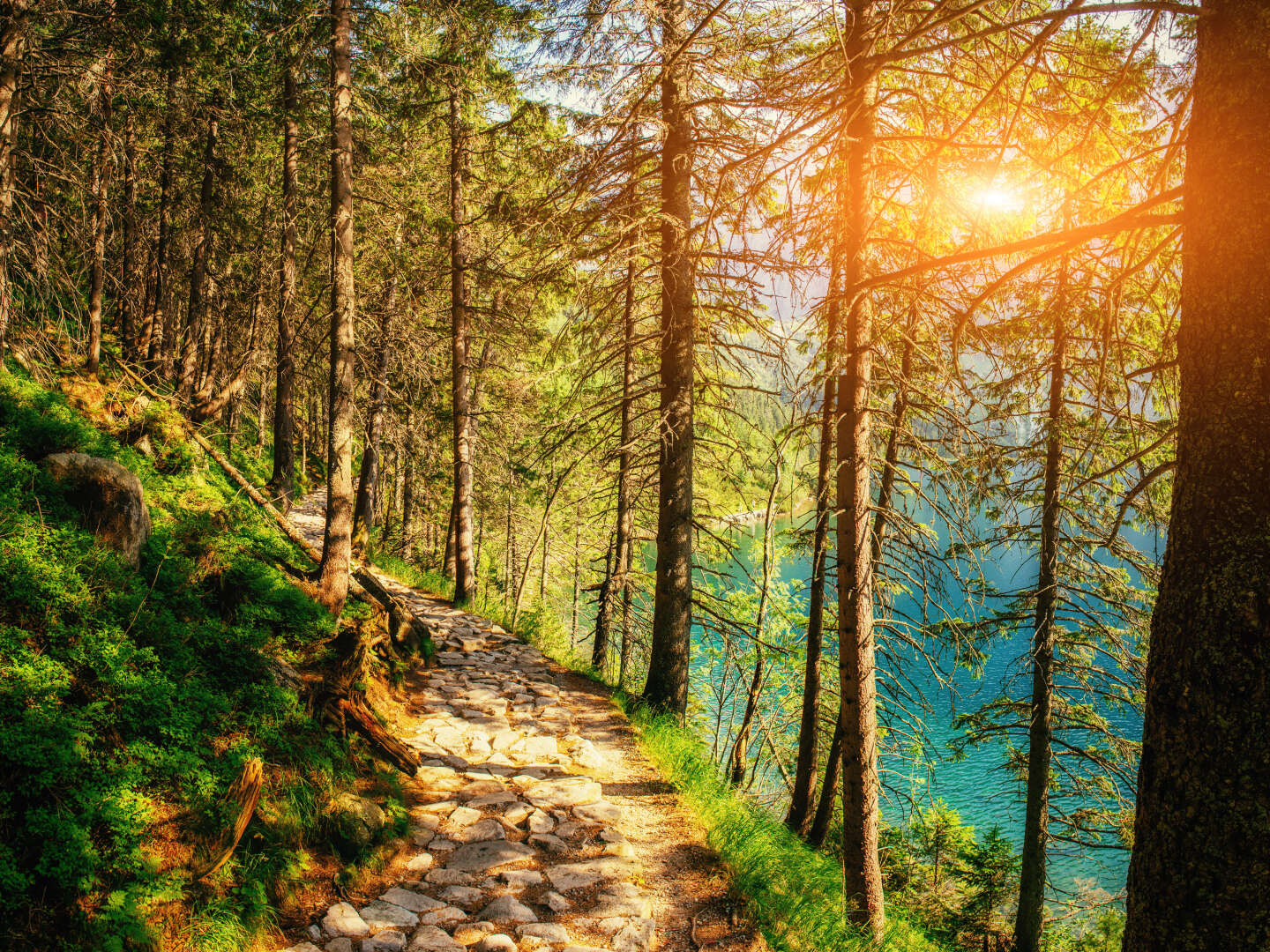 Erholungsurlaub im Salzburger Land - Wald, Wiese & Natur| 7 Nächte