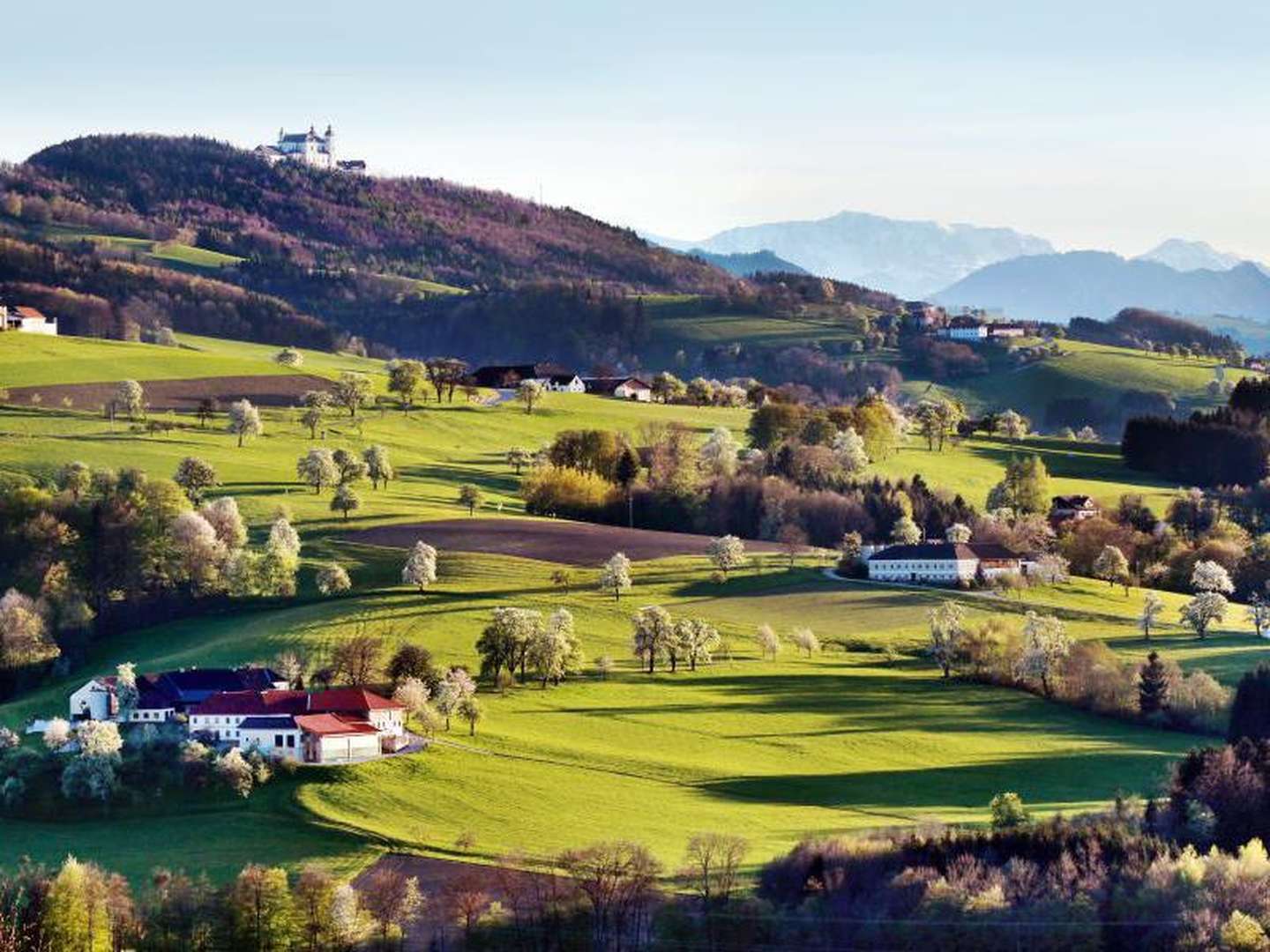 Sommerurlaub Mostviertel mit Wellnessgenuss im Solebad | 7 Nächte