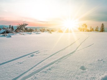 Winterurlaub im steirischen Murtal - Skipass trifft Wellnesspass | 2 Nächte