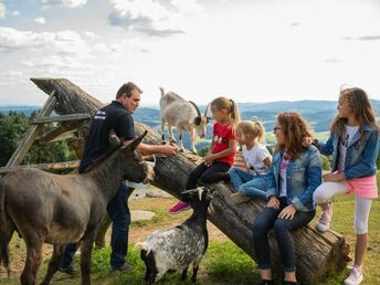 Auszeit im Böhmerwald | 5 Nächte