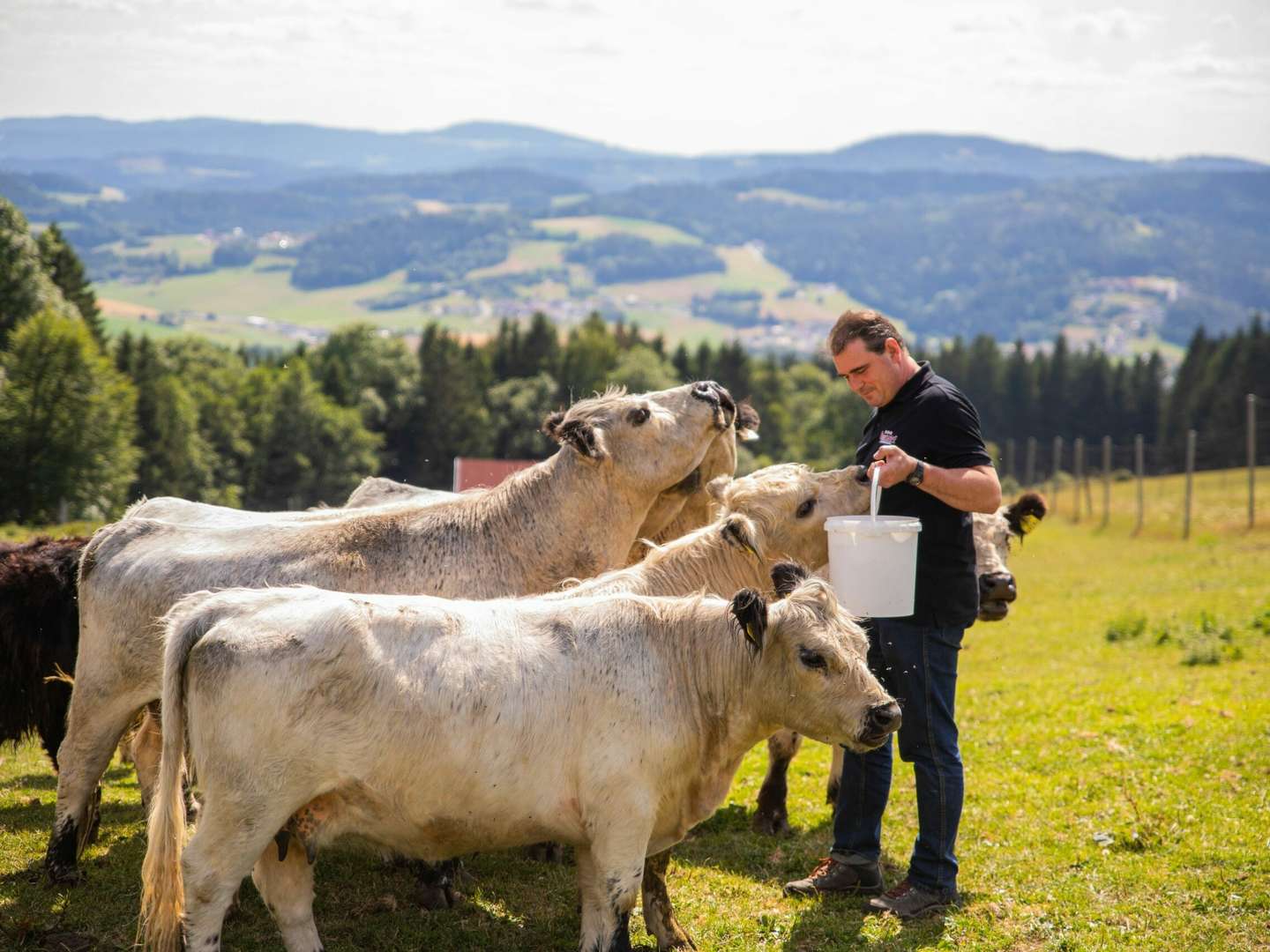 Winterzauber im Haagerhof  mit Frühstück  2 Nächte 