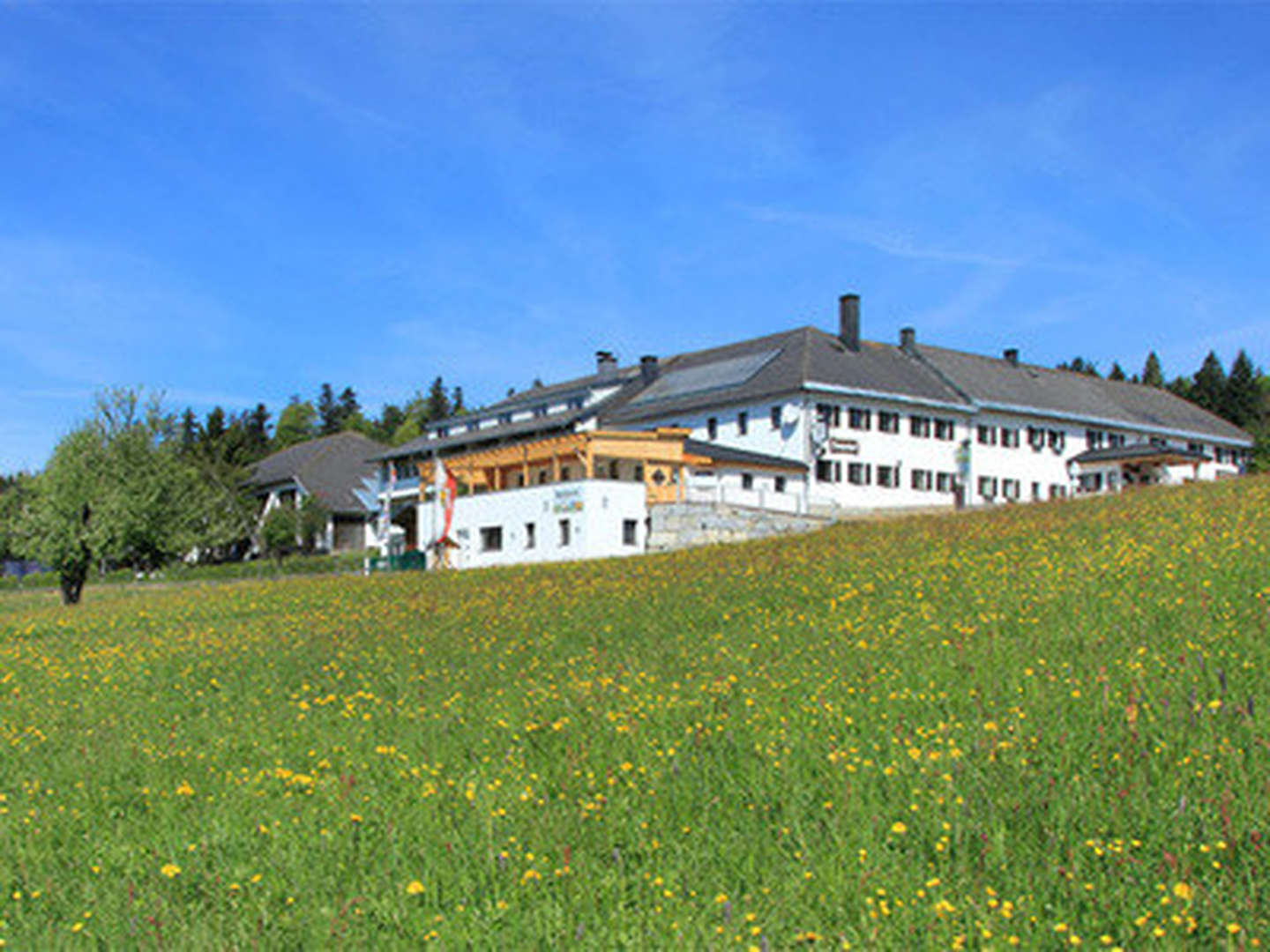 Mühlviertler Traumtage - Auszeit im Böhmerwald | 6 Nächte