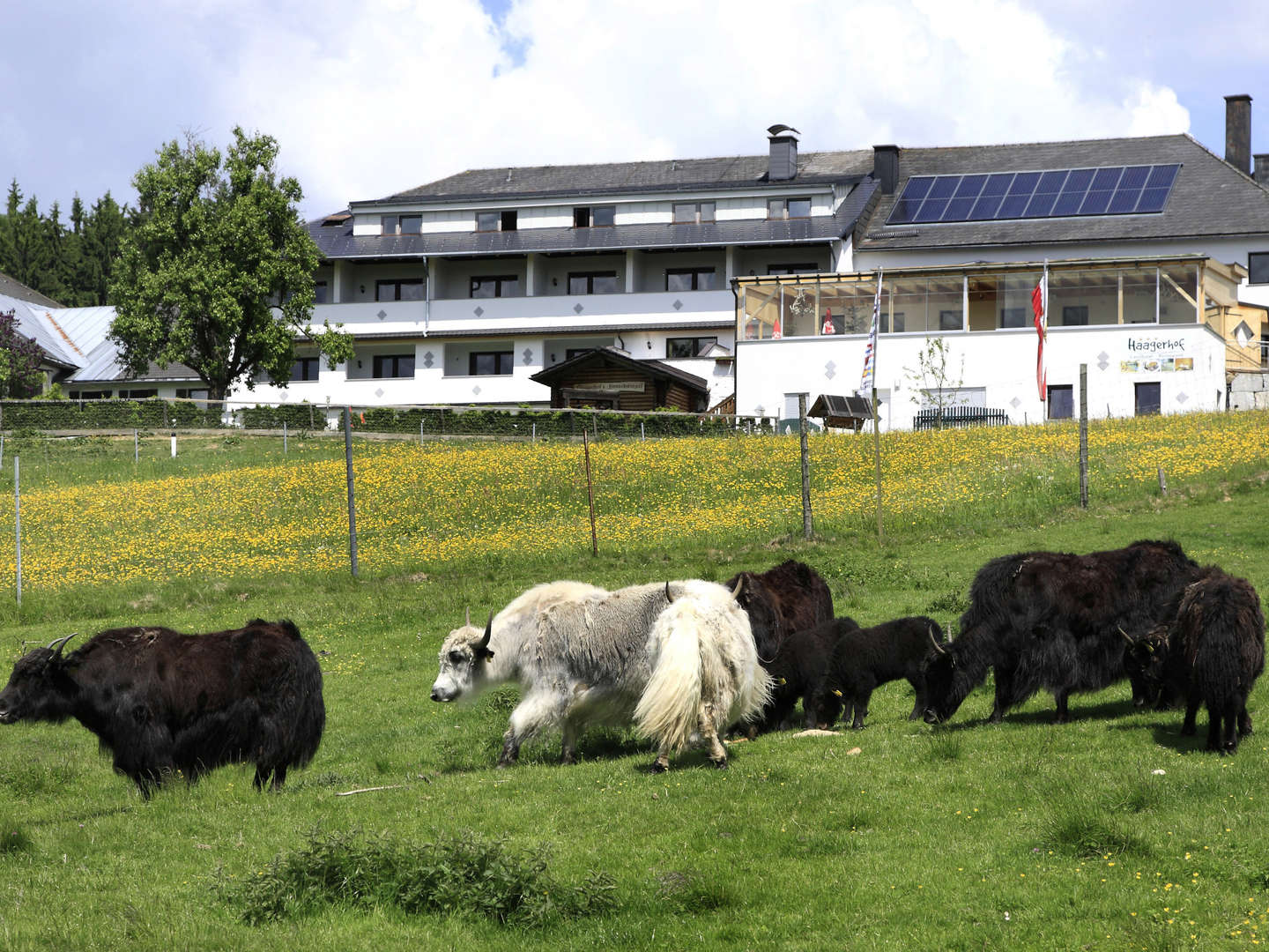 Ostern im Landhotel Haagerhof | 3 Nächte