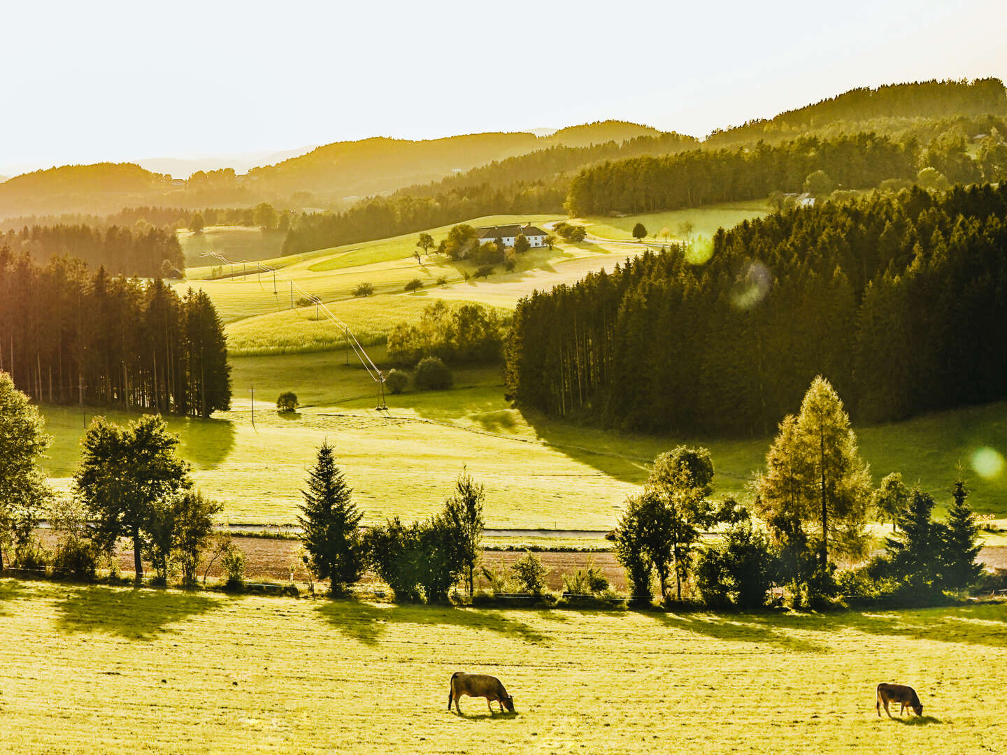 Mühlviertler Traumtage - Auszeit im Böhmerwald | 3 Nächte