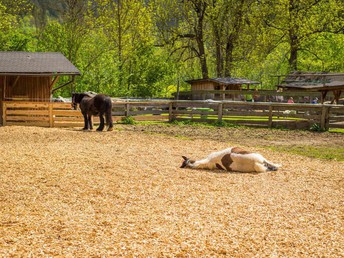 Familienurlaub im Kinderhotel Appelhof | 4 Nächte 