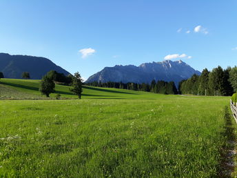 Im neuen Jahr im Herzen der Steiermark inkl. Halbpension | 3 Nächte