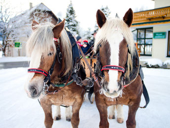 Romantischer Silvesterurlaub inkl. Silvester Gala-Menü & Erlebniswanderung | 7 Nächte