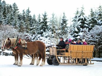 Romantischer Silvesterurlaub inkl. Silvester Gala-Menü & Erlebniswanderung | 7 Nächte