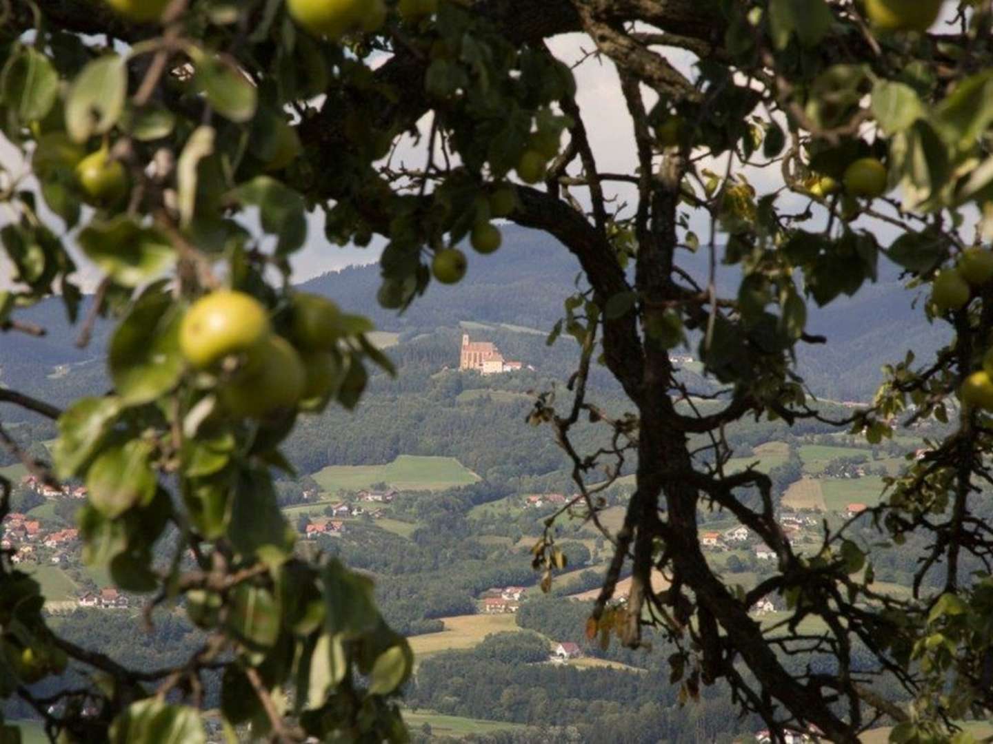 Urlaub im grünen Herzen der Steiermark inkl. Verwöhnpension | 3 Nächte